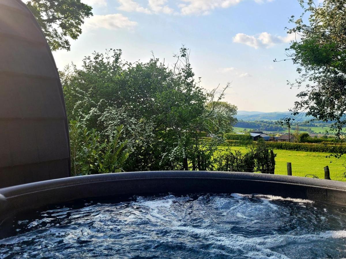 Odli Glamping - Deri Welshpool Exterior foto